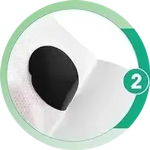 Step 2: apply the patch